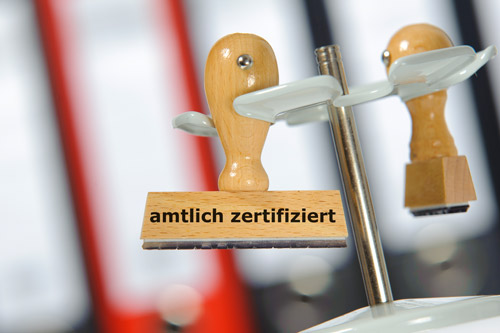 BAFA-Beratung